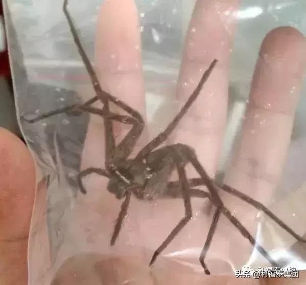 第530页