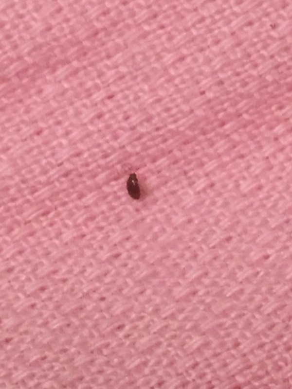 第626页