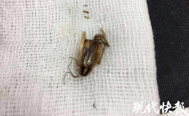 第618页